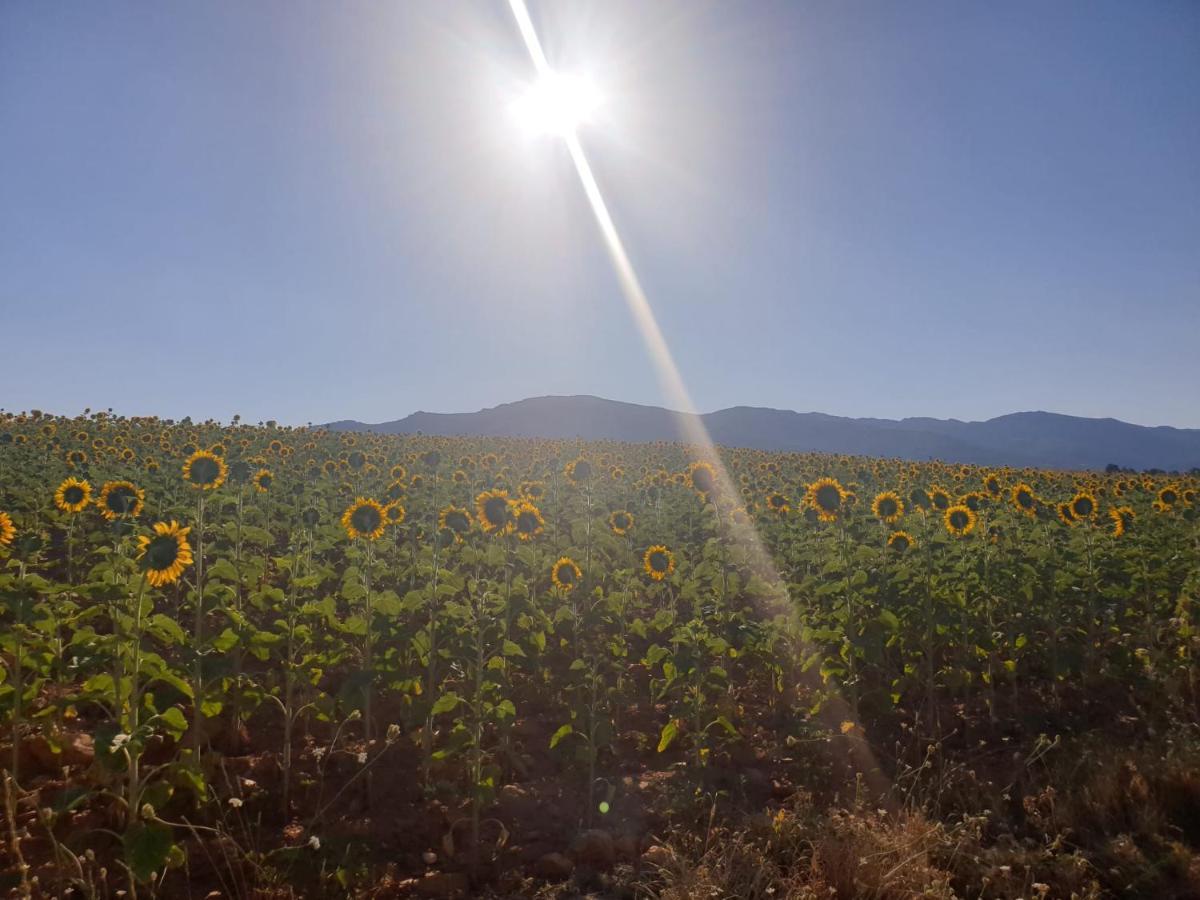 Casa Adriego Daire Riaza Dış mekan fotoğraf