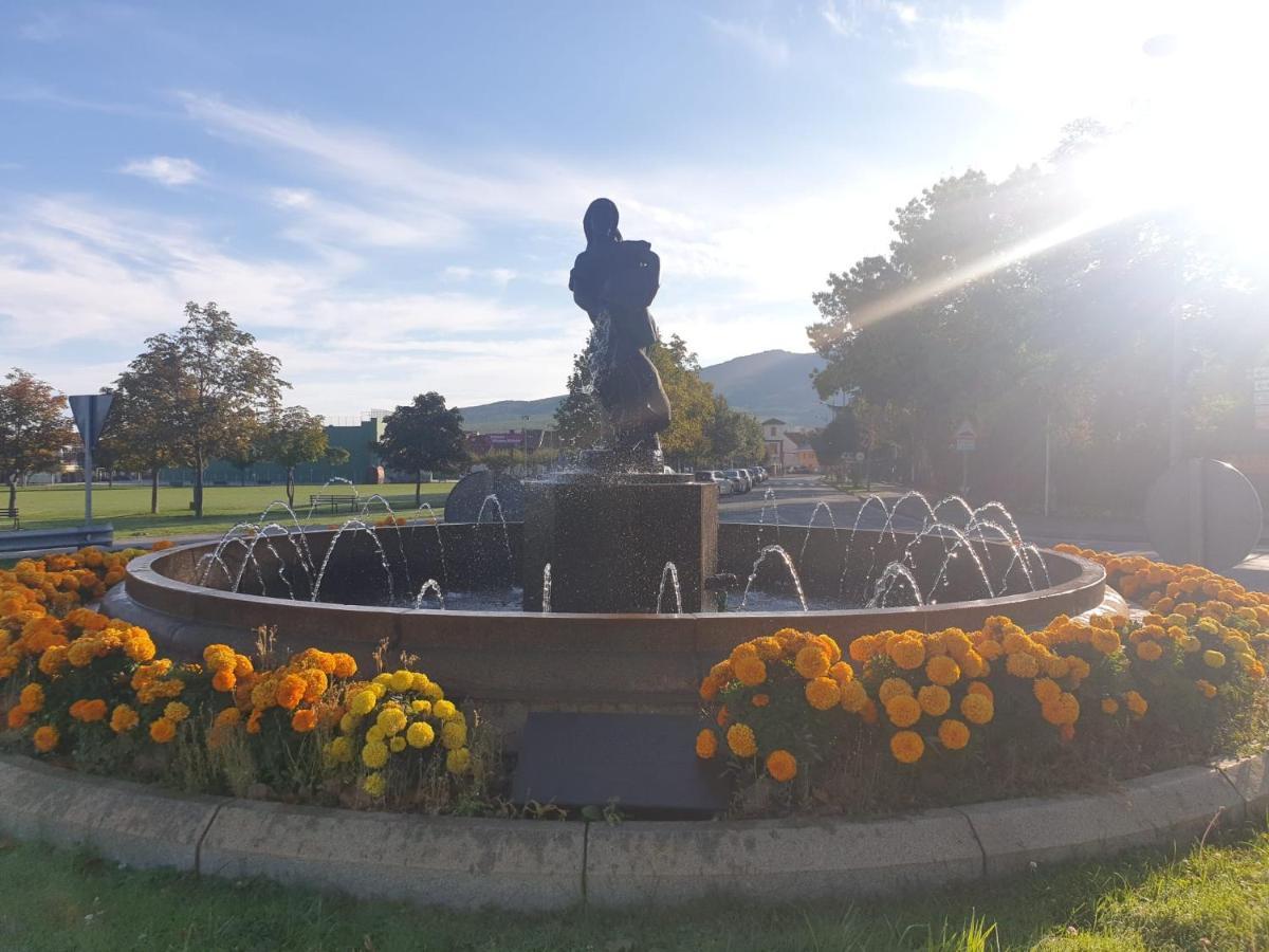 Casa Adriego Daire Riaza Dış mekan fotoğraf